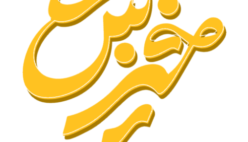 آموزش موکب داری